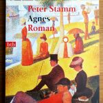 Von Liebe und Kälte - Peter Stamm, Agnes