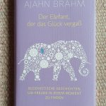 Ajahn Brahm: Der Elefant, der das Glück vergaß